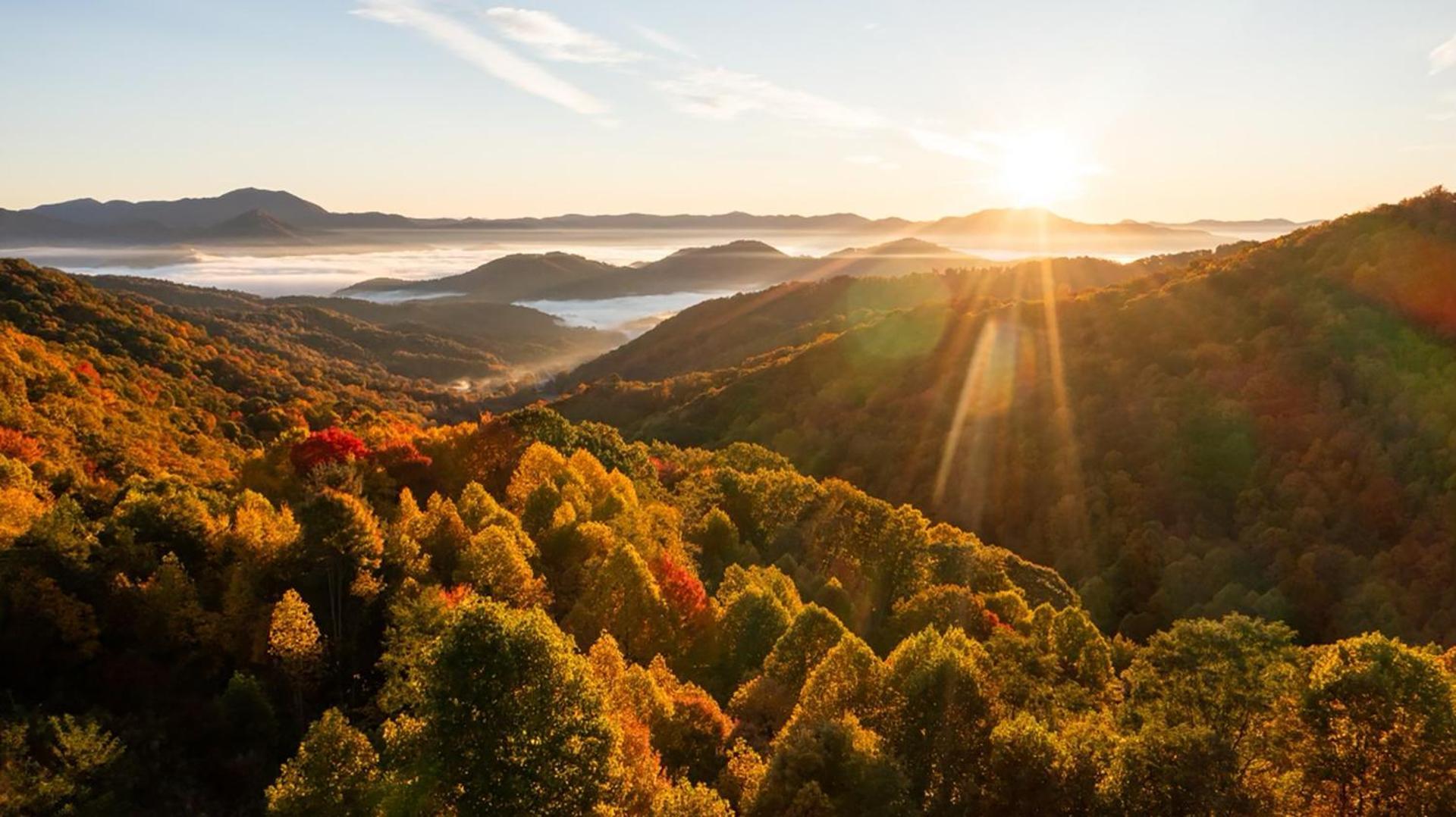 Elk & Embers Mountain Hideaway Hotel Waynesville Bagian luar foto