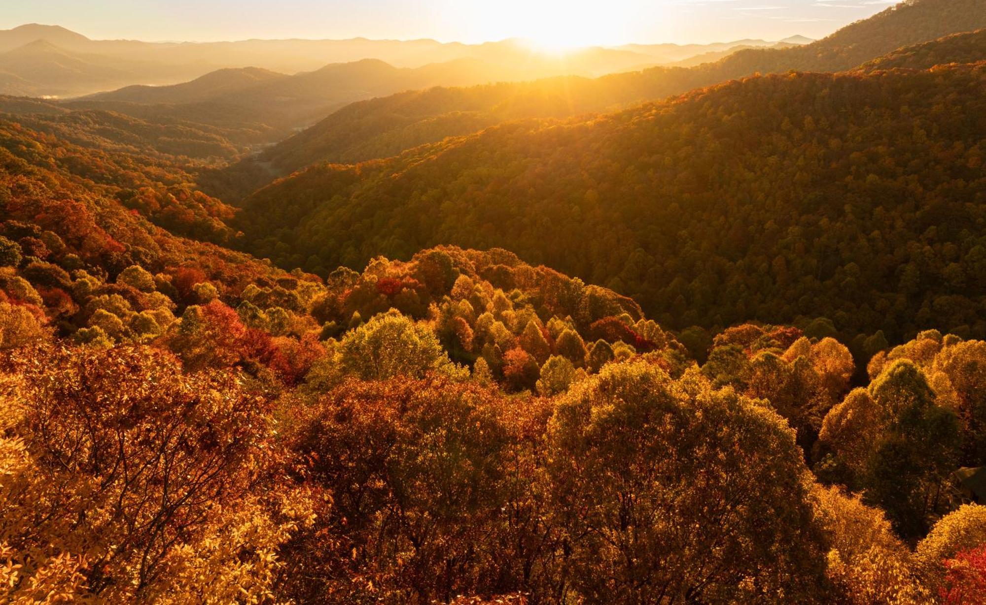 Elk & Embers Mountain Hideaway Hotel Waynesville Bagian luar foto