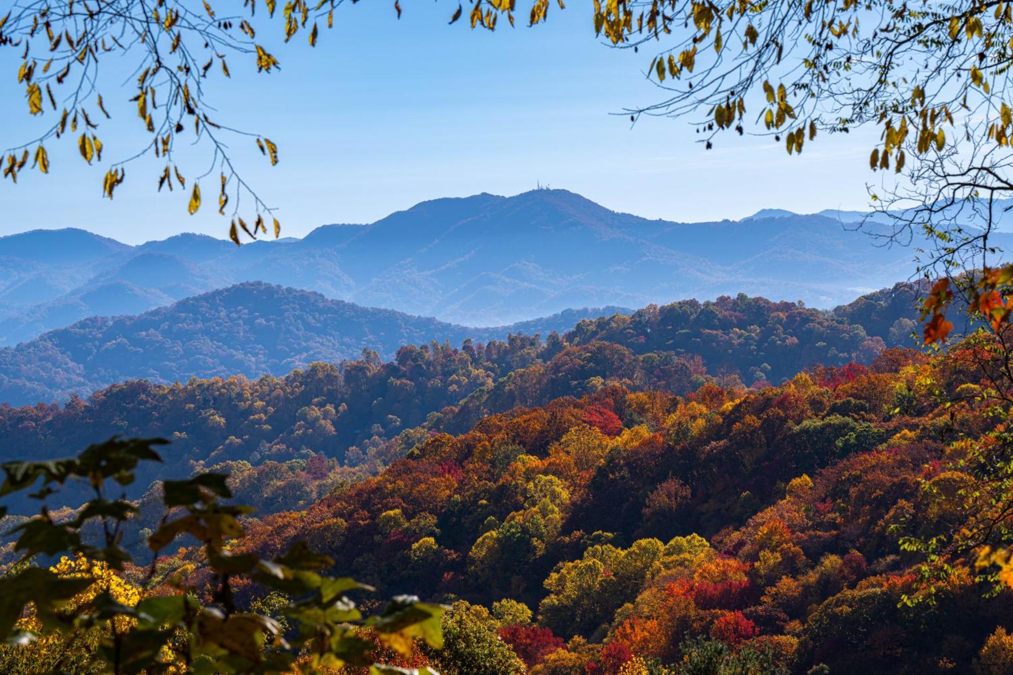 Elk & Embers Mountain Hideaway Hotel Waynesville Bagian luar foto